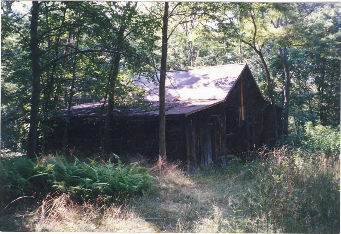 The original cattle barn in the woods before it was moved
