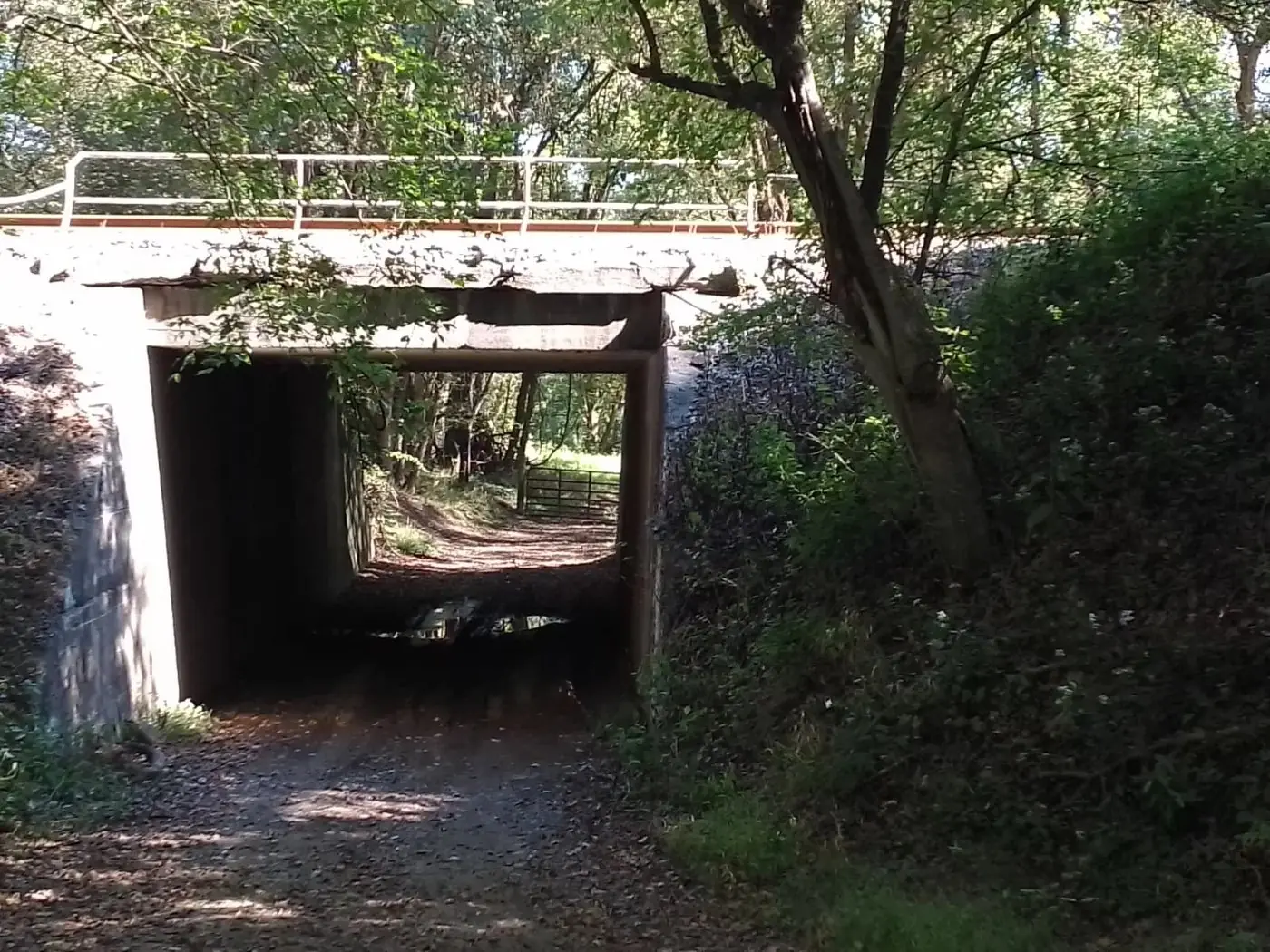 The old road passing under the railroad bridge toward the river
