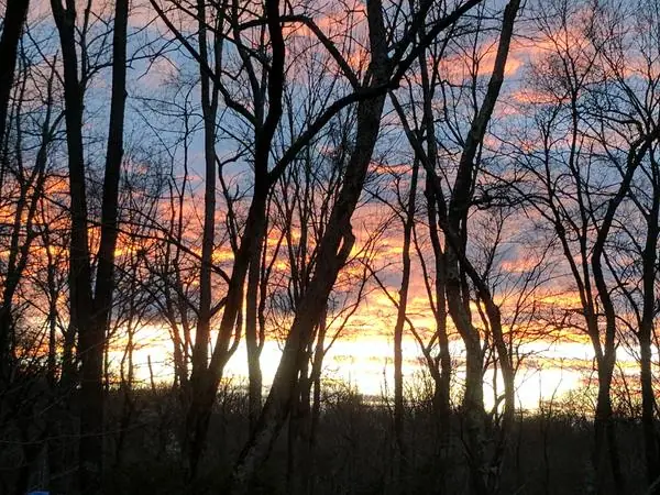 A sunset glowing orange and pink through bare trees