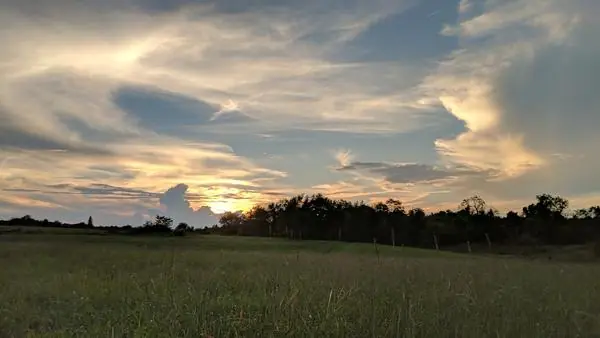 A glowing sunset sky over a grassy pasture and a line of trees