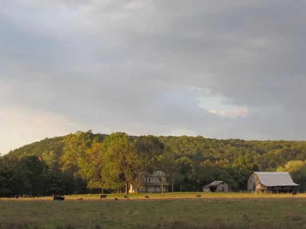 A farmhouse and barn in a pasture below a wooded ridge under soft evening clouds