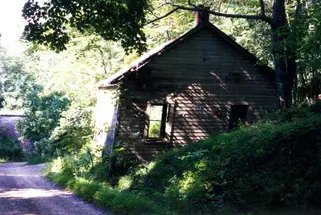 The old store building overgrown in 2001