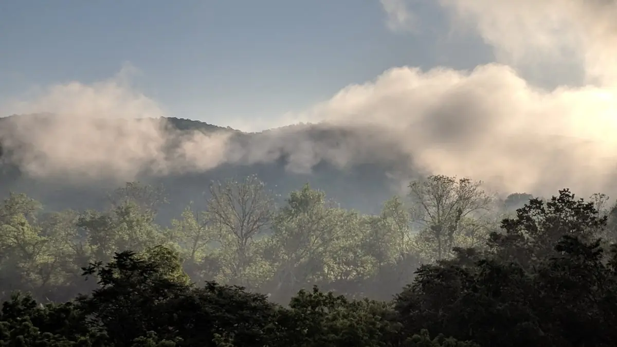 Morning mist drifting over the mountain and treetops