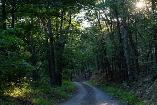 Around the Property, photo 1 of 21