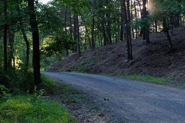 Around the Property, photo 2 of 21