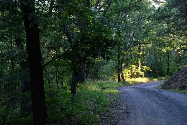 Around the Property, photo 3 of 21