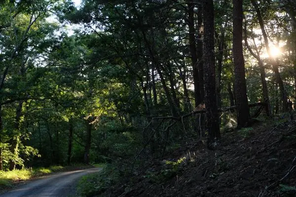 Around the Property, photo 4 of 21