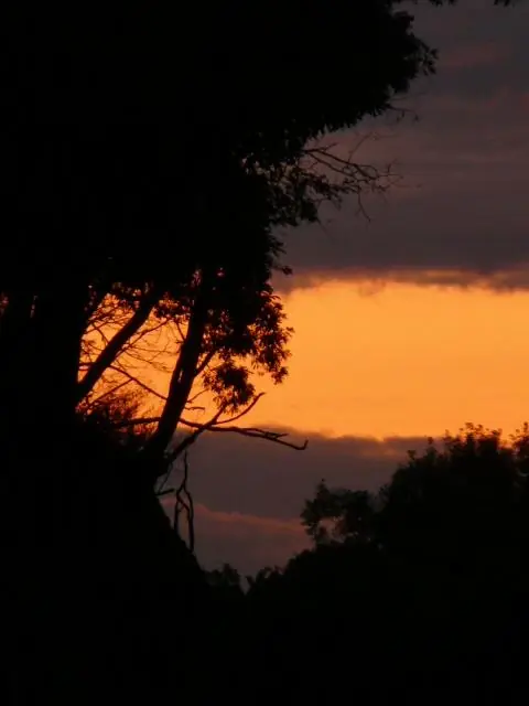 Around the Property, photo 7 of 21