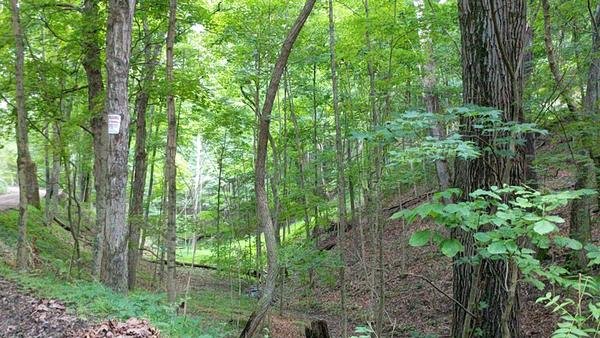 Around the Property, photo 14 of 21