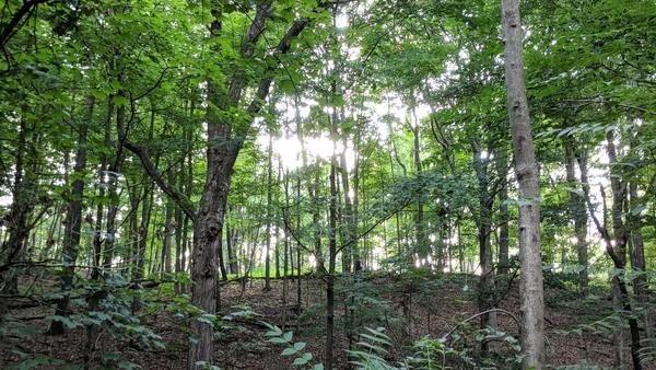 Around the Property, photo 15 of 21