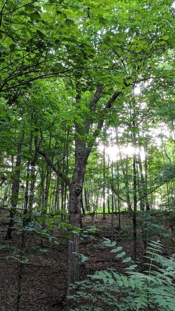 Around the Property, photo 16 of 21