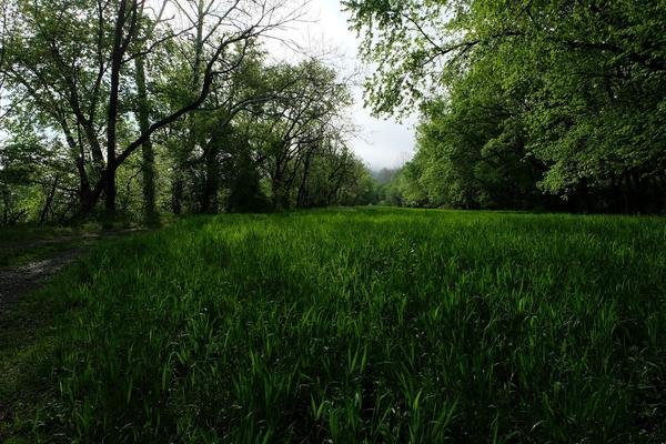 On the Property, photo 1 of 43