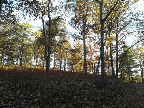On the Property, photo 3 of 43
