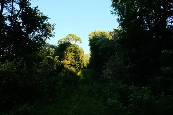 On the Property, photo 8 of 43