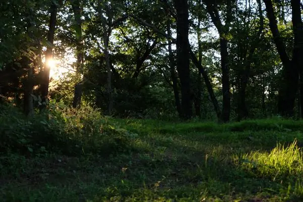 On the Property, photo 9 of 43