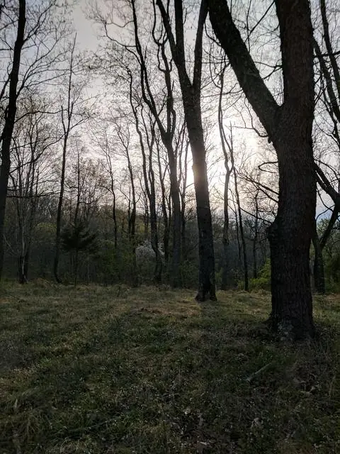 On the Property, photo 10 of 43