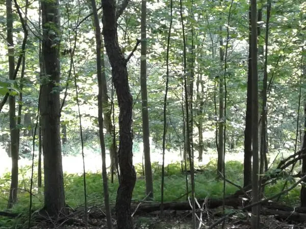 On the Property, photo 15 of 43