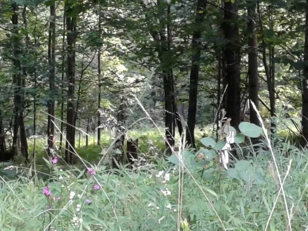 On the Property, photo 16 of 43