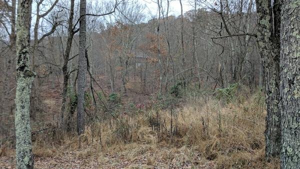 On the Property, photo 18 of 43