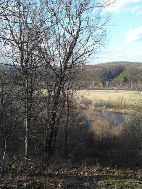 On the Property, photo 19 of 43