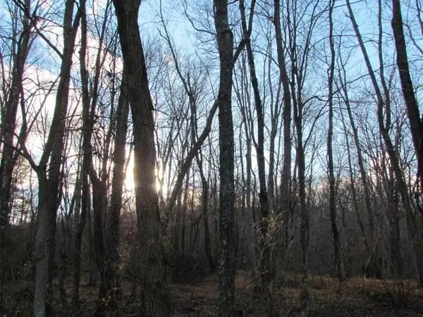 On the Property, photo 21 of 43