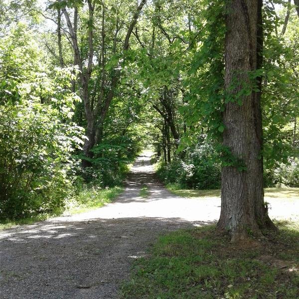 On the Property, photo 26 of 43