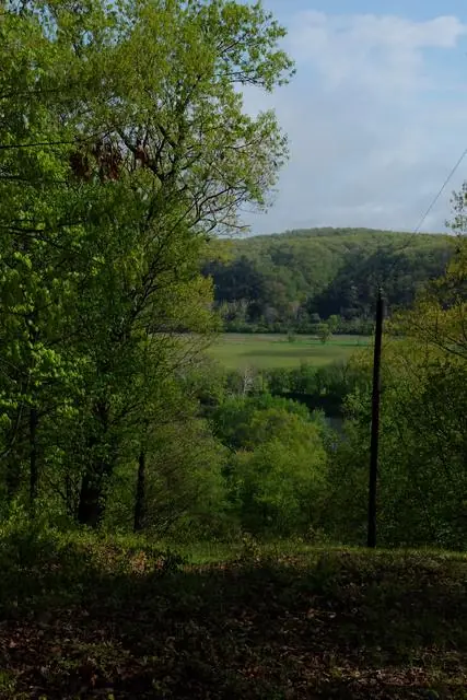 On the Property, photo 27 of 43