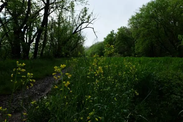 On the Property, photo 31 of 43