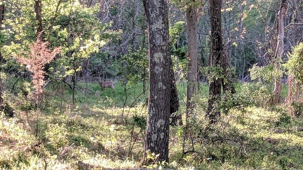 On the Property, photo 42 of 43