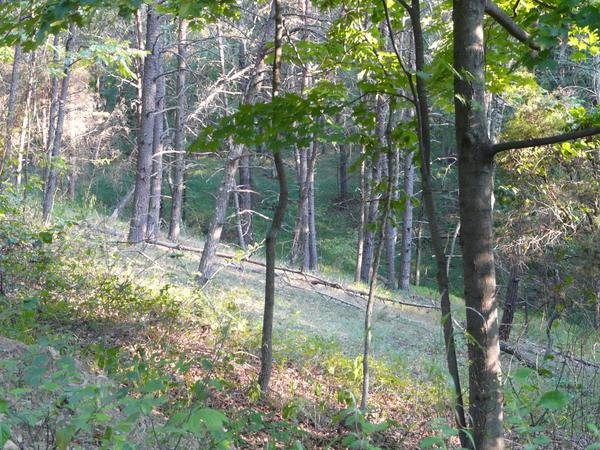 On the Property, photo 43 of 43