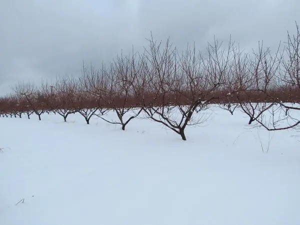 Select Scenes from the Area, photo 4 of 45
