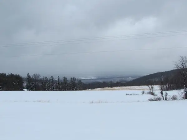 Select Scenes from the Area, photo 5 of 45