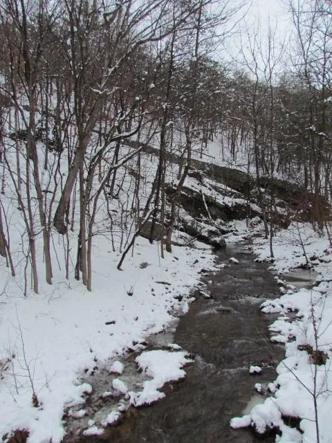 Select Scenes from the Area, photo 6 of 45
