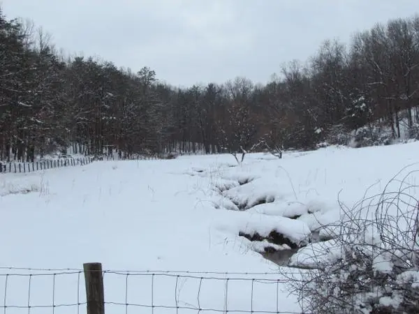 Select Scenes from the Area, photo 7 of 45