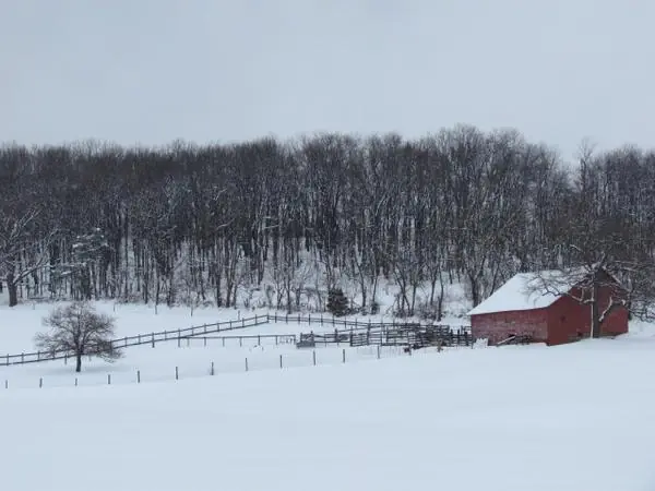 Select Scenes from the Area, photo 8 of 45