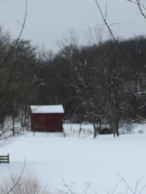 Select Scenes from the Area, photo 9 of 45