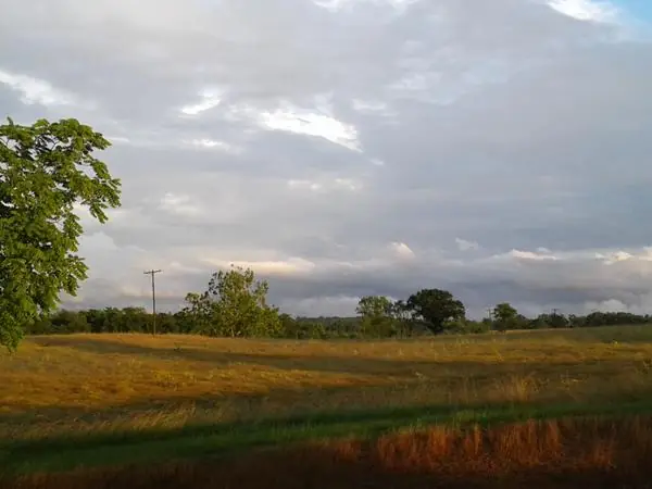 Select Scenes from the Area, photo 10 of 45
