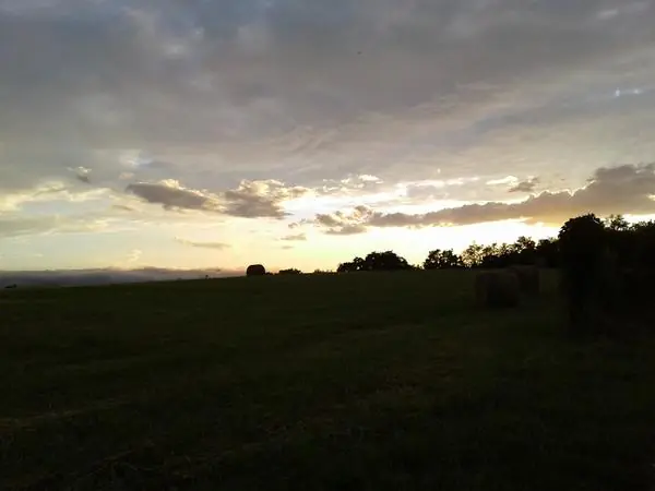 Select Scenes from the Area, photo 15 of 45