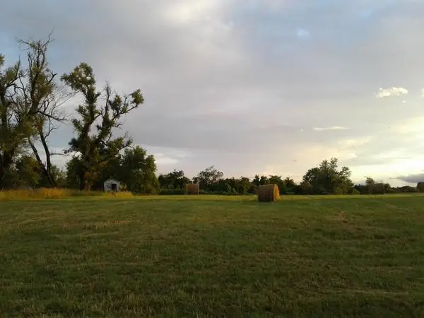 Select Scenes from the Area, photo 16 of 45