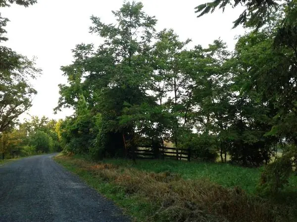 Select Scenes from the Area, photo 17 of 45