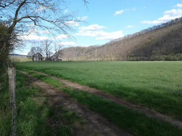 Select Scenes from the Area, photo 20 of 45