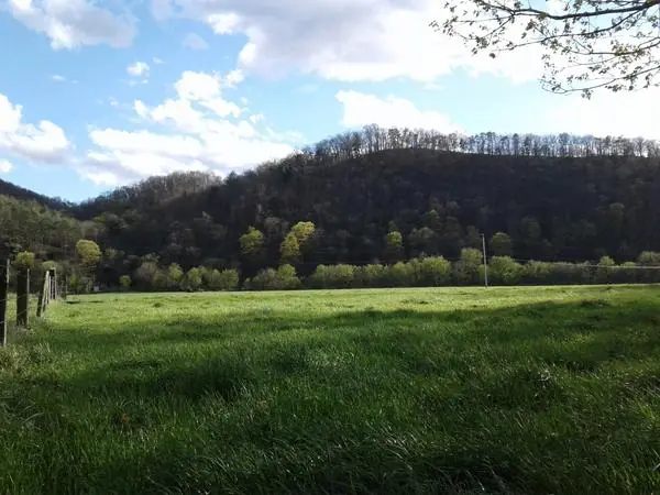 Select Scenes from the Area, photo 22 of 45
