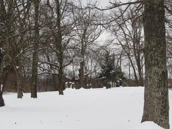 Select Scenes from the Area, photo 37 of 45