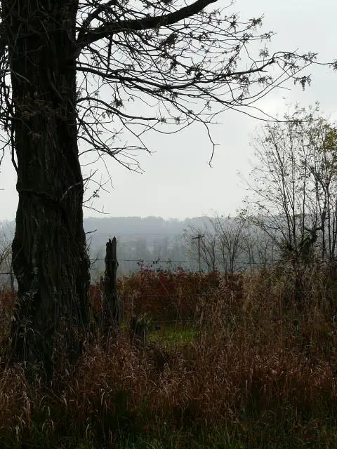 Select Scenes from the Area, photo 39 of 45