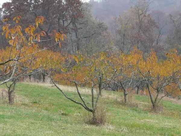 Select Scenes from the Area, photo 40 of 45