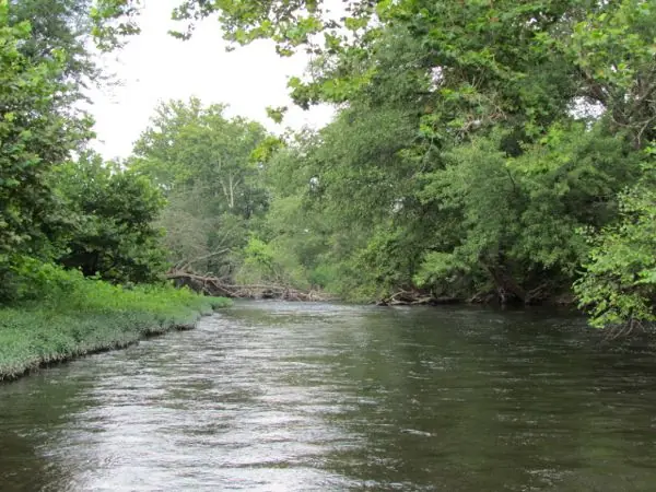 The River, photo 3 of 46