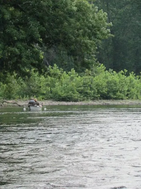 The River, photo 4 of 46
