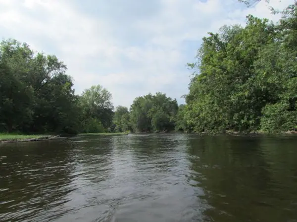 The River, photo 5 of 46