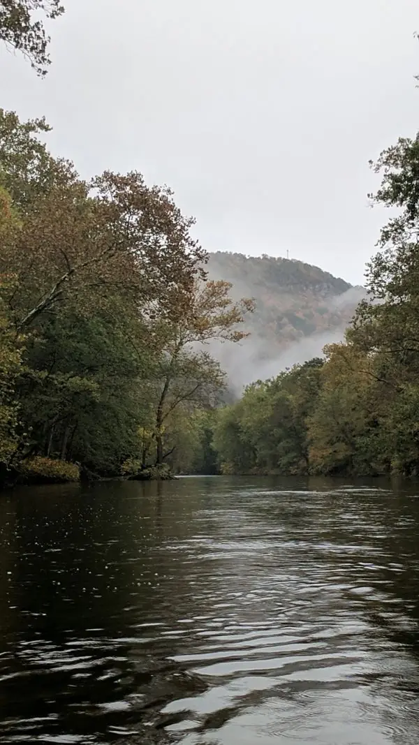 The River, photo 9 of 46