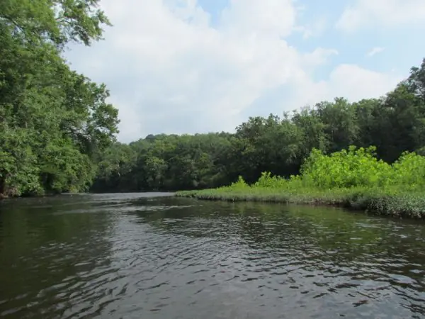 The River, photo 10 of 46